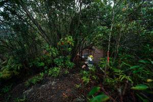 BIB: 
                            <button type="button" onclick="openModal(26196428)" class="btn btn-primary btn-sm float-right btn-popup" data-toggle="modal" data-target=".modal-high-quality">
                        <i class="fas fa-shopping-cart"></i> Add to Cart
                    </button>
                                            <button type="button" onclick="isThisMe(26196428, true)" class="btn btn-success btn-sm float-right btn-popup btn-isme hidden" data-toggle="tooltip" data-placement="bottom" title="นี่คือรูปของคุณใช่ไหม คลิกที่นี่เพื่อเอาเข้าอัลบั้ม">
                        <i class="fas fa-plus"></i> Add to album
                    </button>
                    <button type="button" onclick="isThisMe(26196428, false)" class="btn btn-warning btn-sm float-right btn-popup btn-isnotme hidden">
                        <i class="fas fa-ban"></i> Remove from album
                    </button>